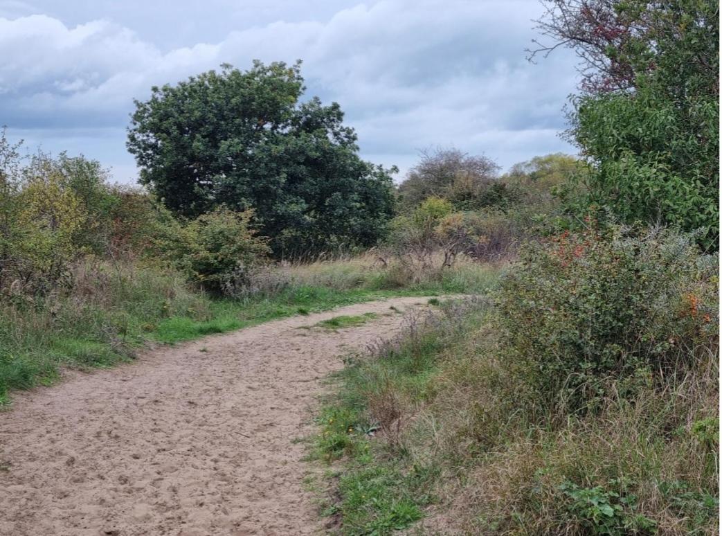 Vakantiewoning 266 De Panne Kültér fotó